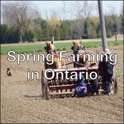 Spring Farming in Ontario