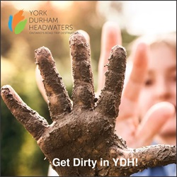 York Durham Headwaters News – Get Dirty in YDH