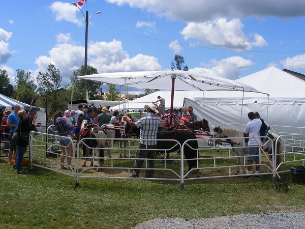 Kids love to around at Ontario Agricultural Fairs