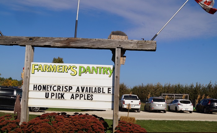 Apples are now available!