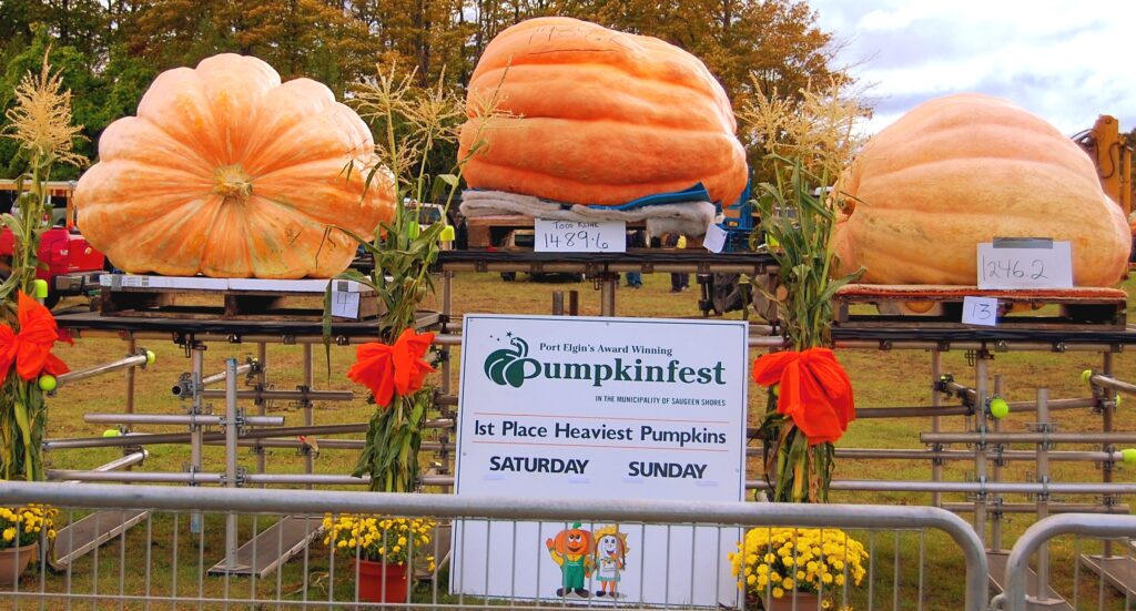 Pumpkinfest in Port Elgin