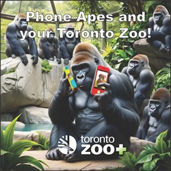 Help Save Gorillas with the Phone Apes Program