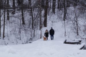Take a winter walk on a path less traveled