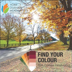 York Durham Headwaters News – YDH Fall – Find Your Colour