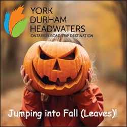 York Durham Headwaters News – Jumping into YDH Fall (Leaves)