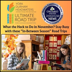 What the Heck to Do in November?