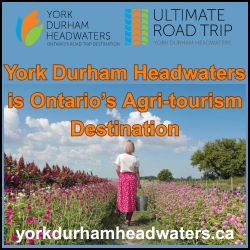 Farmers Markets in York Durham Headwaters