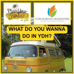 Get Dirty in Spring York Durham Headwaters 2025