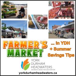 Farmers Markets in York Durham Headwaters + Summer Savings Tips