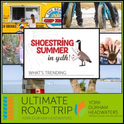 Shoestring Summer in York Durham Headwaters 2025