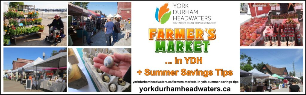 Farmers' Markets