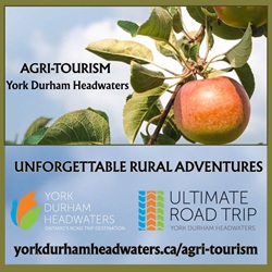 Unforgettable Rural Adventures York Durham Headwaters 2025