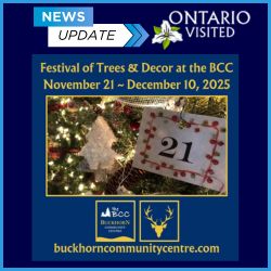 Celebrate the Season at The BCC – The Heartbeat of Buckhorn!