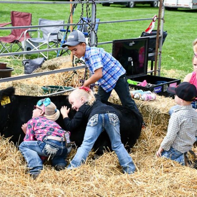 Glencoe Fair