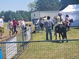 For the horses at the Haliburton County Fair