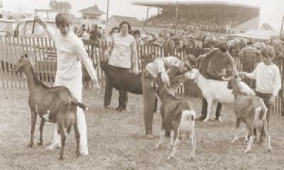 Milton Fall Fair in 1952