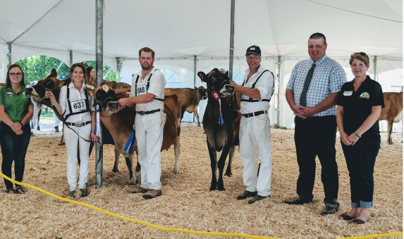 Judging at the Russell Fair