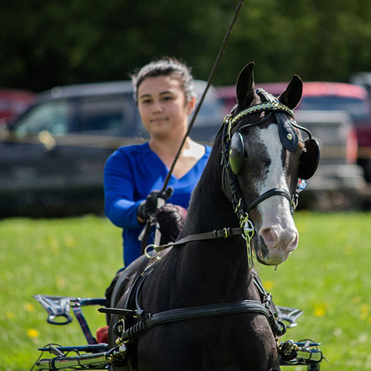 Welcome to the New Hamburg Fall Fair